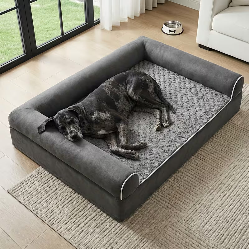 Zeus is a Great Dane And is 12