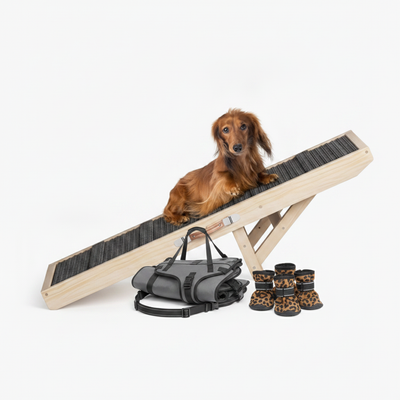 Movement Bundle
