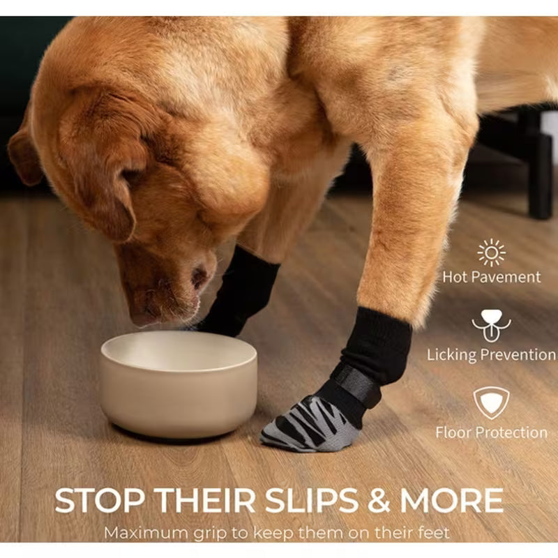 The Dog Lodge Steady Paws