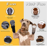 The Dog Lodge Steady Paws