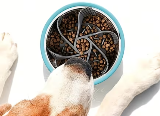 The Dog Lodge Slow Feeder